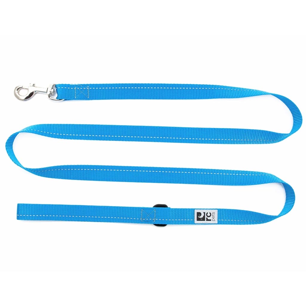 DV - RC PET LEASH PRIMARY 1X6 CYAN
