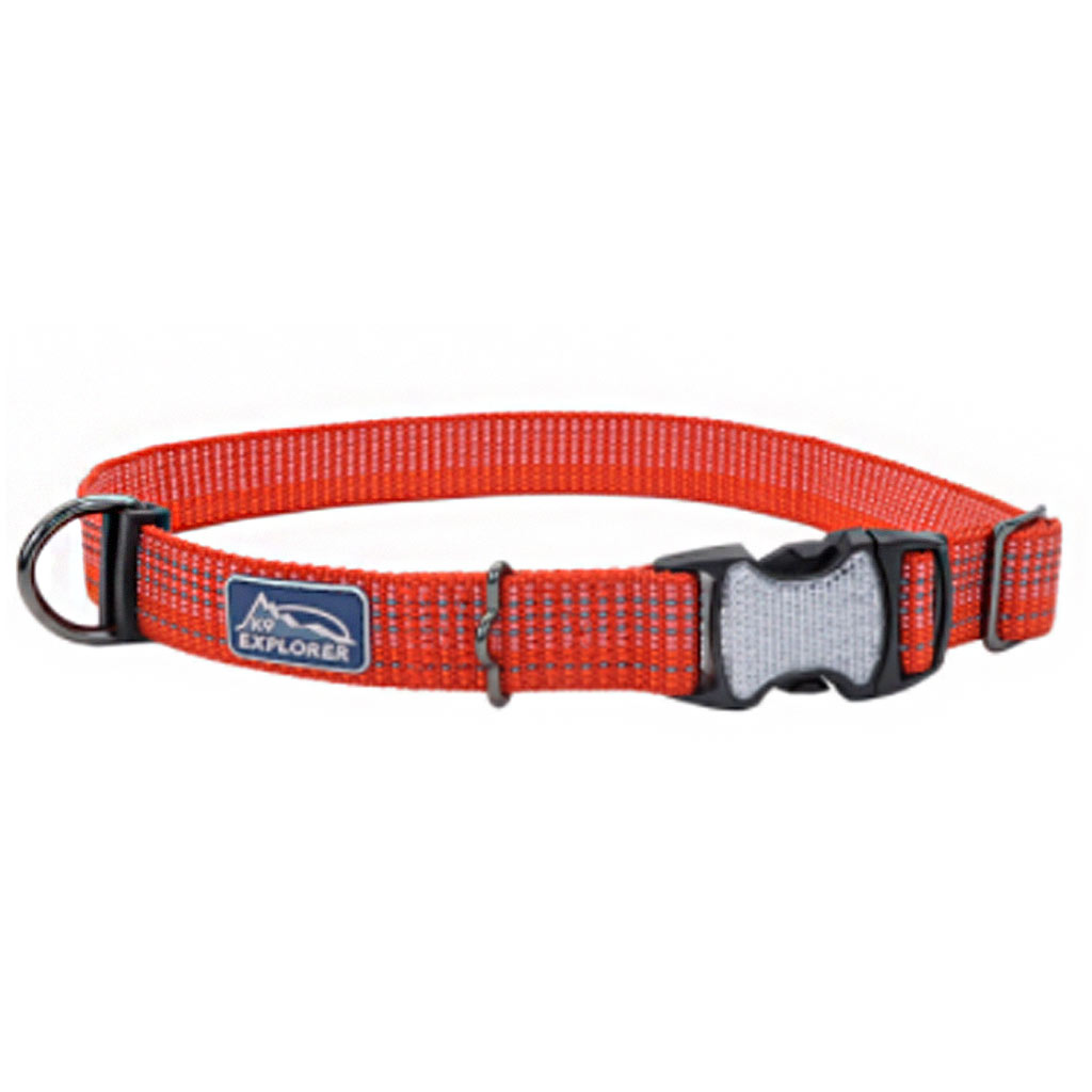 COASTAL K9 EXPLORER REFLECTIVE ADJ COLLAR CANYON 5/8"X10-14"
