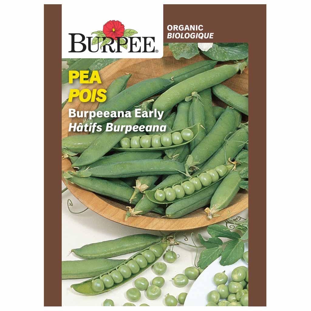 BURPEE ORGANIC PEA - BURPEEANA EARLY