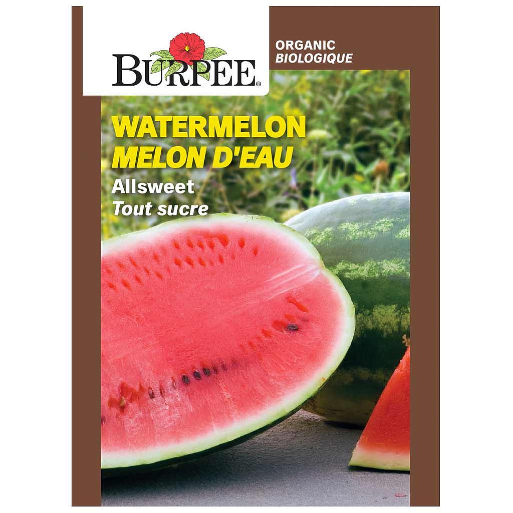 BURPEE WATERMELON - ALLSWEET