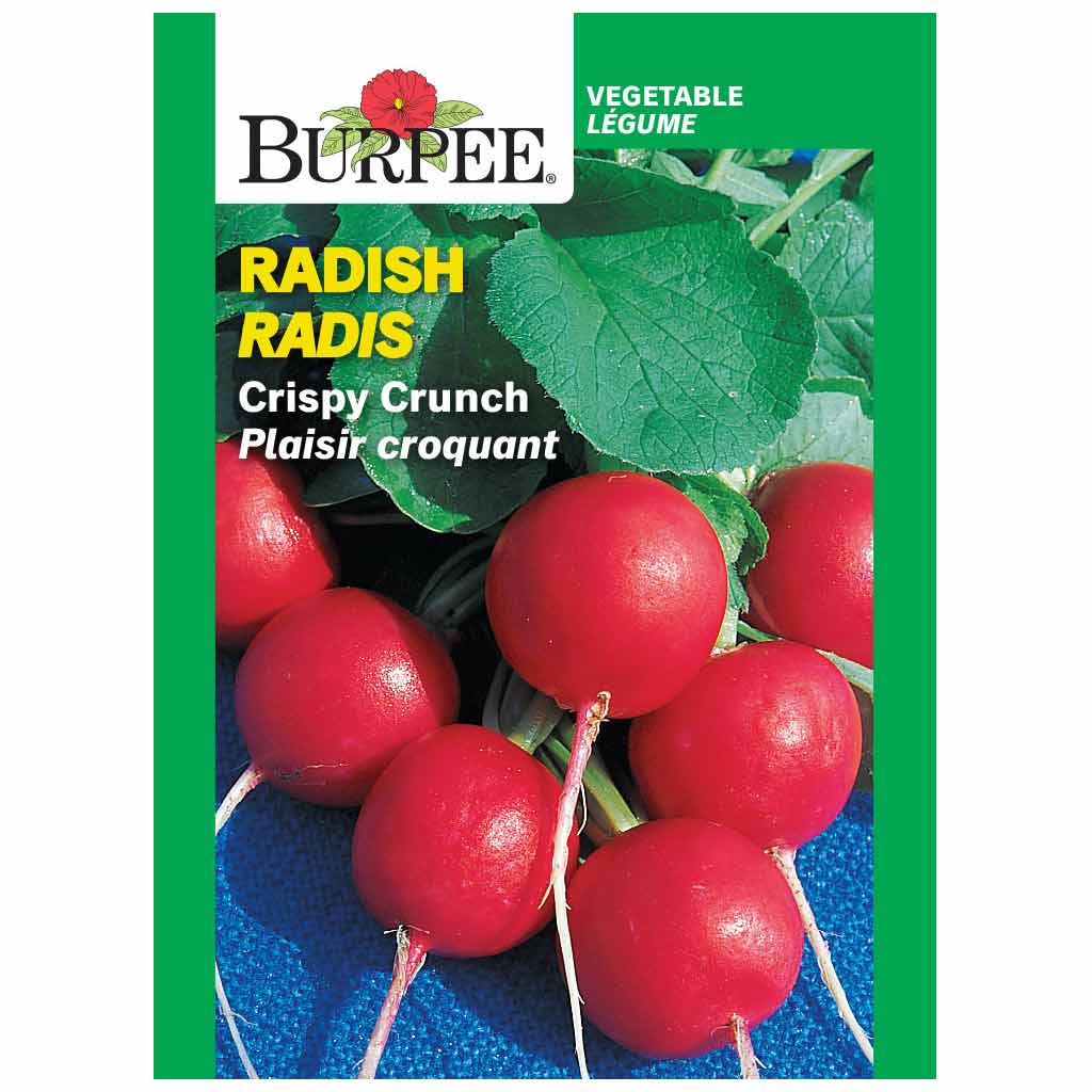 BURPEE RADISH - CRISPY CRUNCH