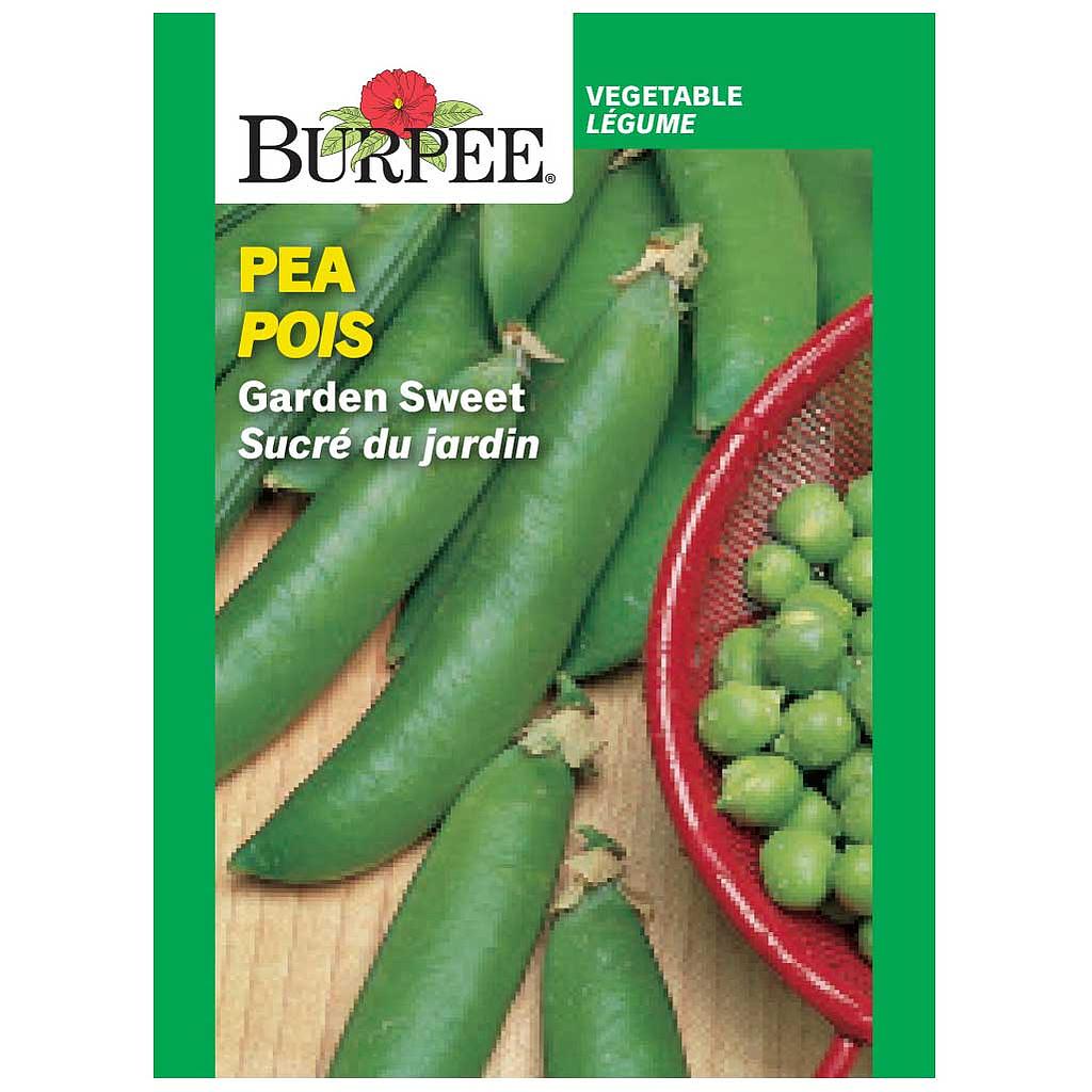 BURPEE PEA - GARDEN SWEET 