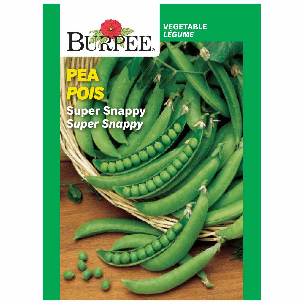 BURPEE PEA - SUPER SNAPPY