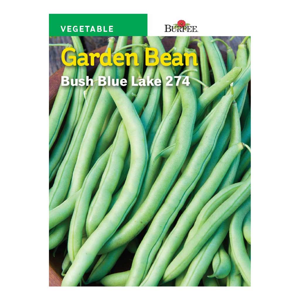 BURPEE BEAN VALUE PACK - BUSH BLUE LAKE 274