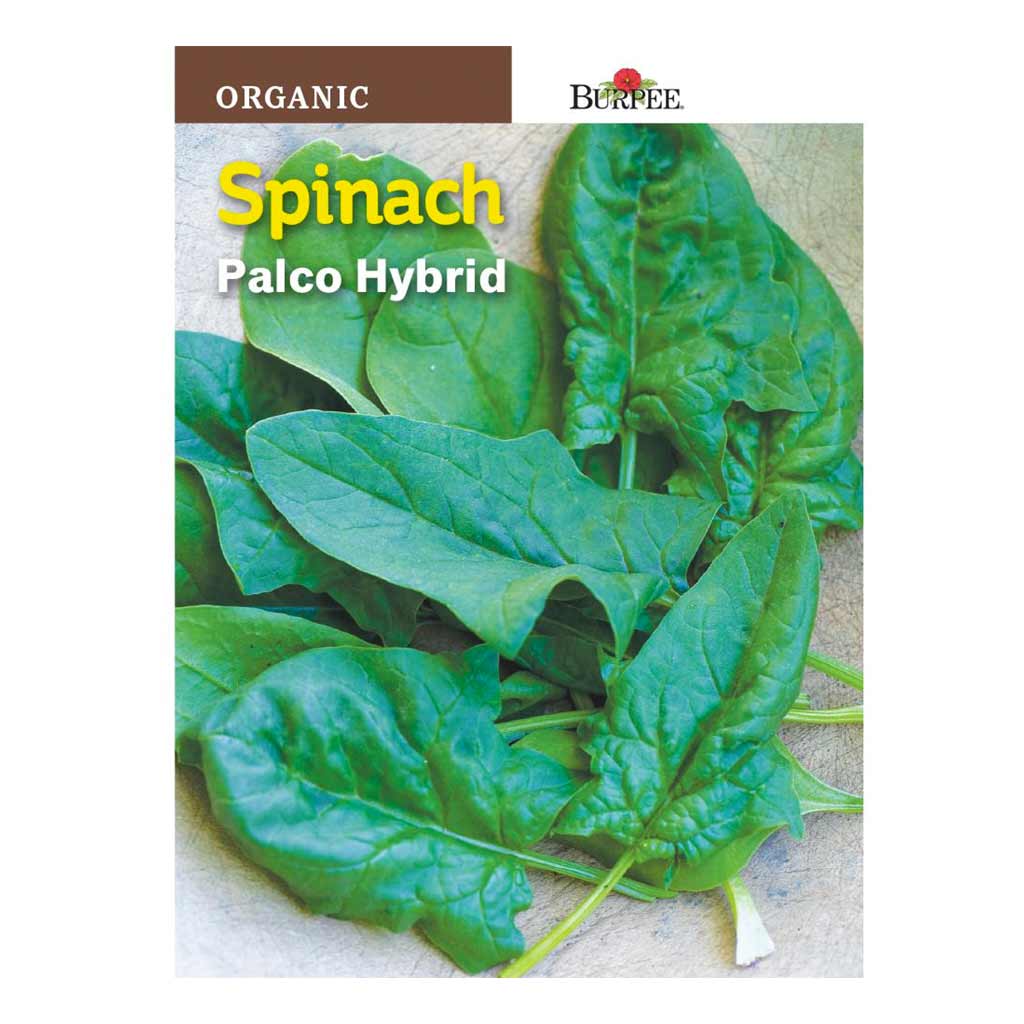 BURPEE ORGANIC SPINACH- PALCO HYBRID