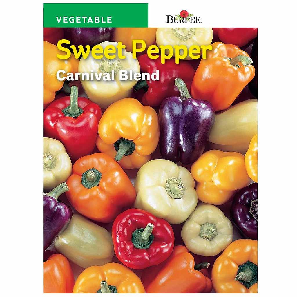 BURPEE SWEET PEPPER - CARNIVAL BLEND
