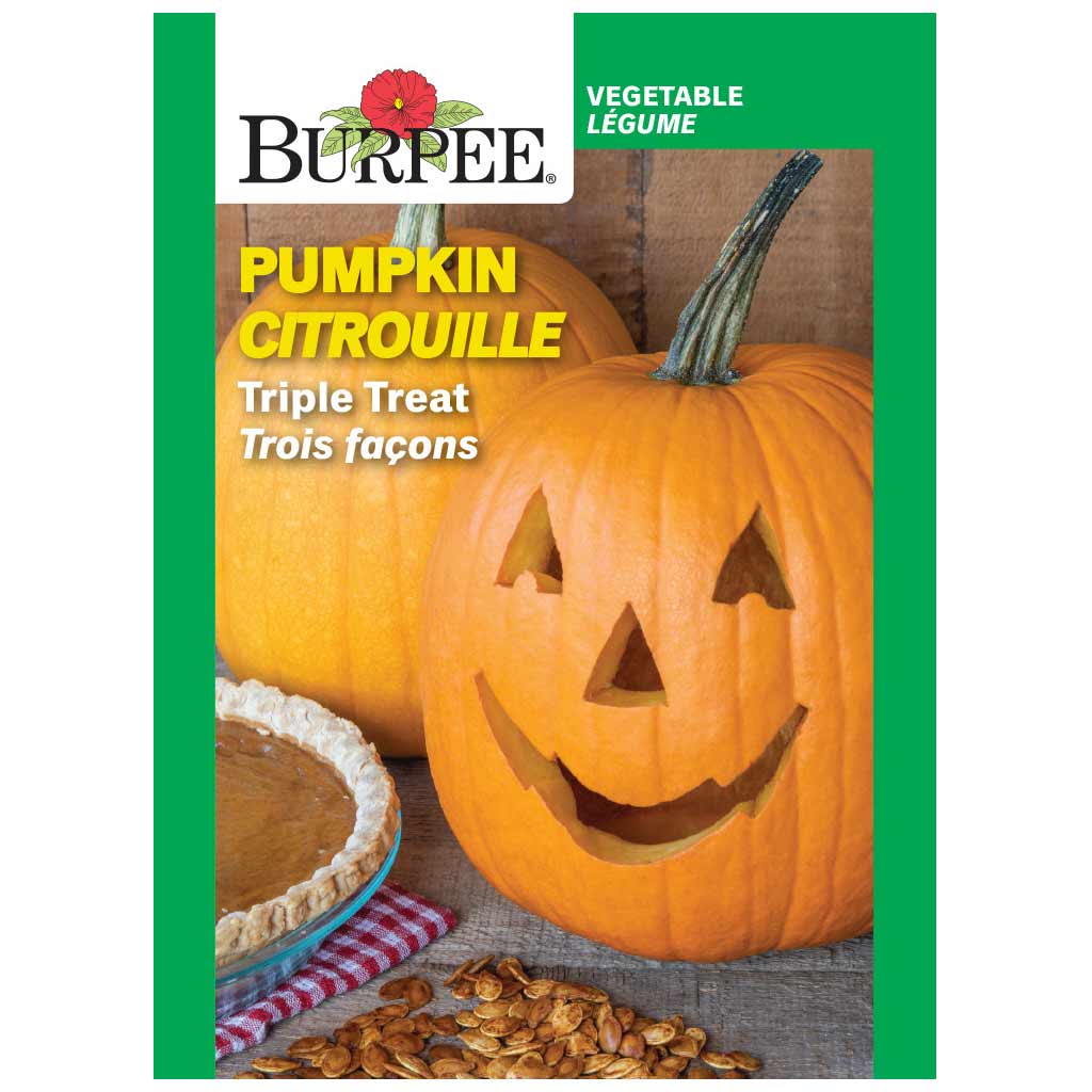 BURPEE PUMPKIN - TRIPLE TREAT