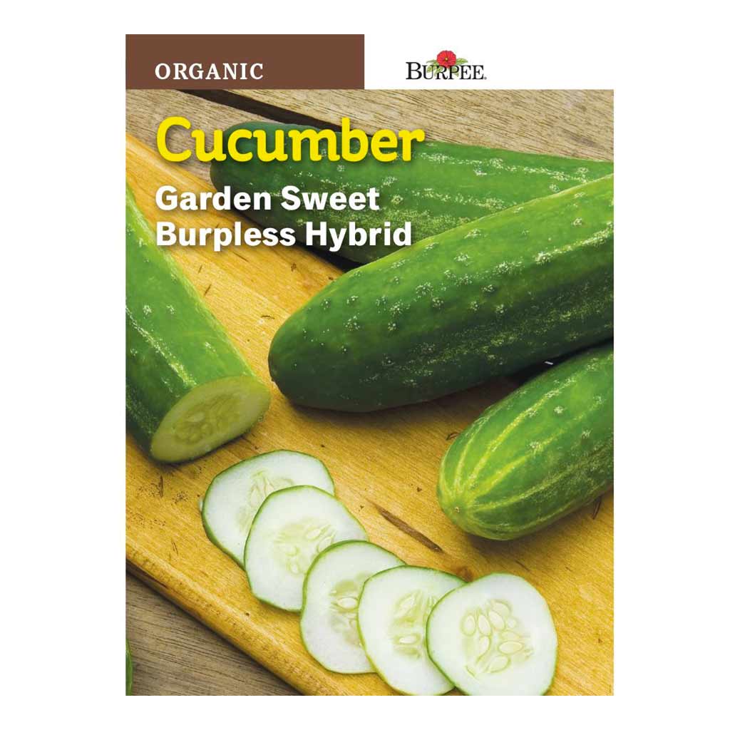 BURPEE ORGANIC CUCUMBER - GARDEN SWEET BURPLESS HYBRID