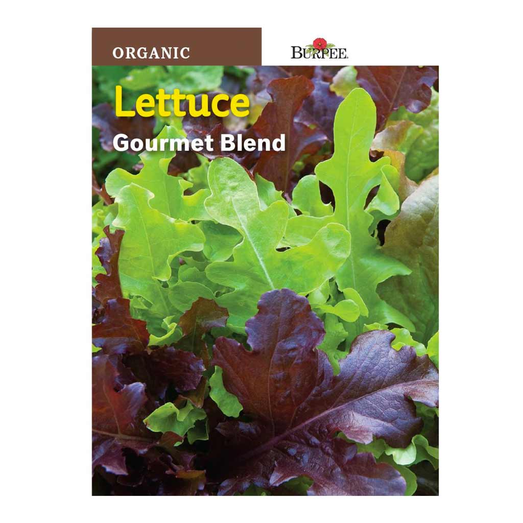BURPEE ORGANIC LETTUCE- GOURMET BLEND