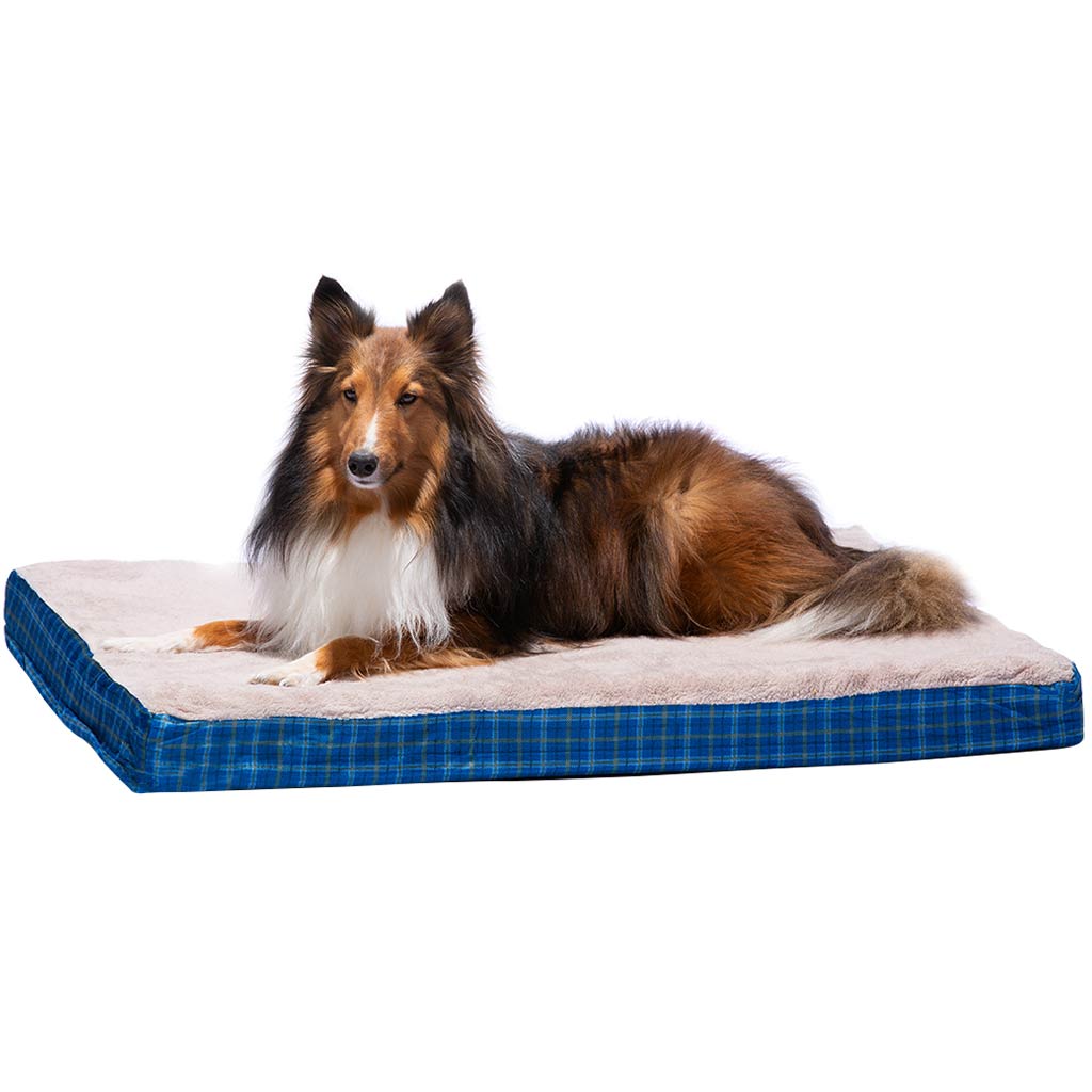DV - CARPENTER DAVIS PET BED 27" x 36" x 3"