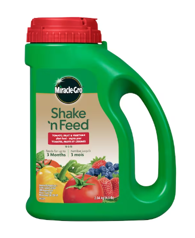 MIRACLE GRO SHAKE N FEED TOMATO/FRUIT/VEG 10-5-15  2.04KG