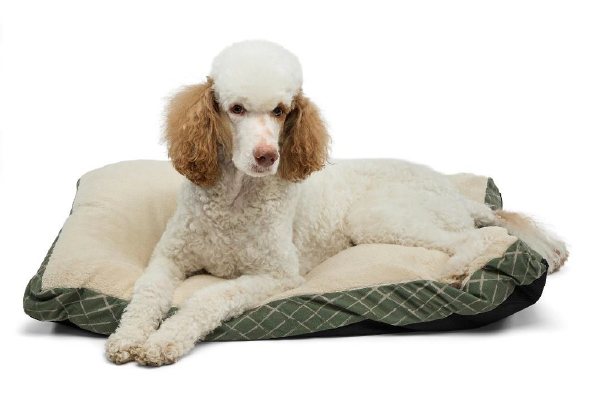CARPENTER GABBY PET BED 30" x 40" x 3" FIBER GUSSETED PILLOW