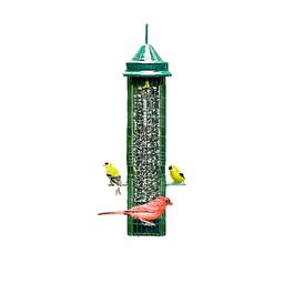 [10048566] BROME SQUIRREL BUSTER CLASSIC 32&quot;