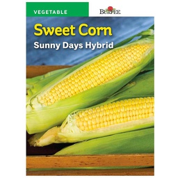 [10081184] BURPEE SWEET CORN - SUNNY DAYS HYBRID