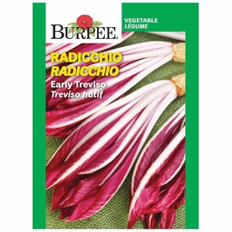 [10081200] BURPEE RADICCHIO