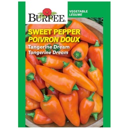 [10081226] BURPEE SWEET PEPPER - TANGERINE DREAM