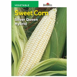 [10081252] BURPEE SWEET CORN VALUE PACK - SILVER QUEEN HYBRID