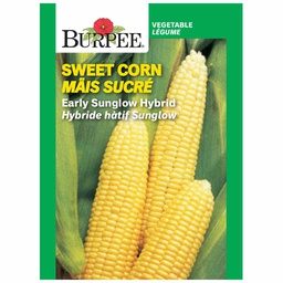 [10081328] BURPEE SWEET CORN - EARLY SUNGLOW HYBRID