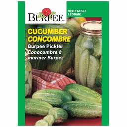 [10081330] BURPEE CUCUMBER - BURPEE PICKLER