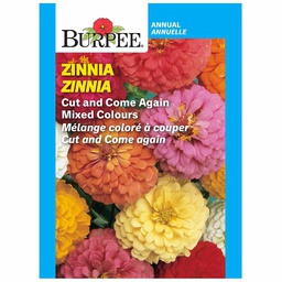 [10081426] BURPEE ZINNIA - CUT AND COME AGAIN MIXED COLOURS