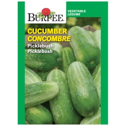 [10081508] BURPEE CUCUMBER - PICKLEBUSH
