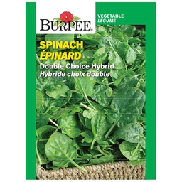 [10081536] BURPEE SPINACH - DOUBLE CHOICE HYBRID