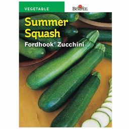 [10081538] BURPEE SUMMER SQUASH - FORDHOOK ZUCCHINI