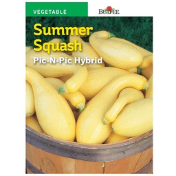 [10081540] BURPEE SUMMER SQUASH - PIC-N-PIC HYBRID