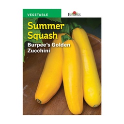 [10081542] BURPEE SUMMER SQUASH - BURPEE'S GOLDEN ZUCCHINI