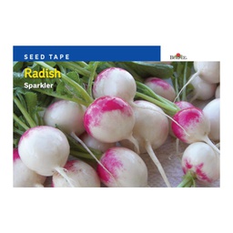 [10081572] BURPEE RADISH SEED TAPE 