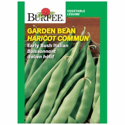 [10081596] BURPEE GARDEN BEAN - EARLY BUSH ITALIAN