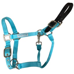 [10084704] GER-RYAN NYLON HALTER W/ LEATHER BREAKAWAY COB TURQUOISE