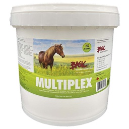 [10105010] BASIC EQUINE MULTIPLEX 1KG