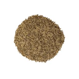[10004398] BADEN BUDGIE MIX 18KG