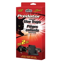 [10006614] WILSON RAT OUT RAT GLUE TRAP 2PK