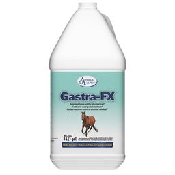 [10007984] OMEGA ALPHA EQUINE GASTRA-FX 4L